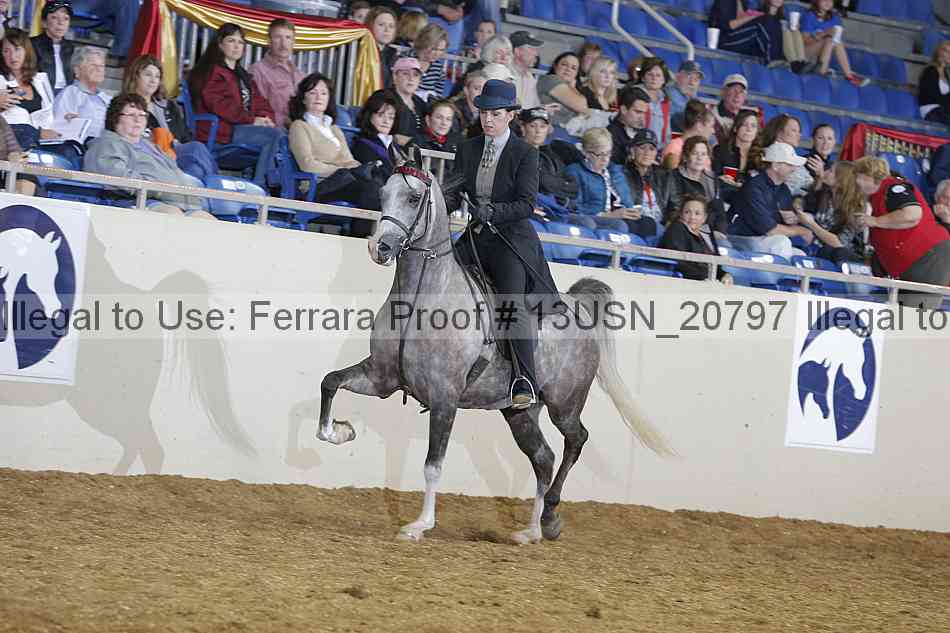 Proof 13usn_20797