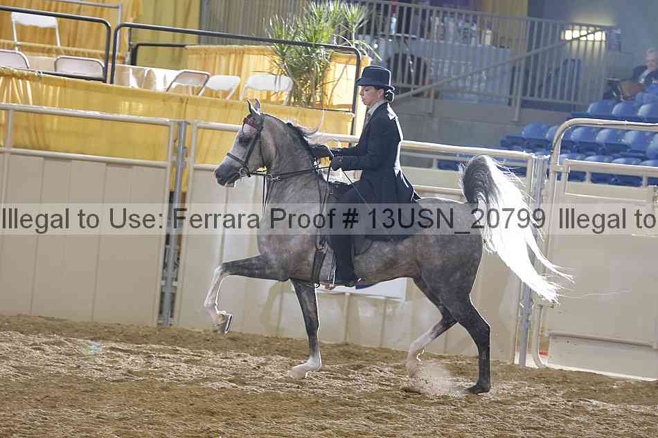 Proof 13usn_20799