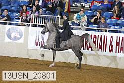 13usn_20801 proof