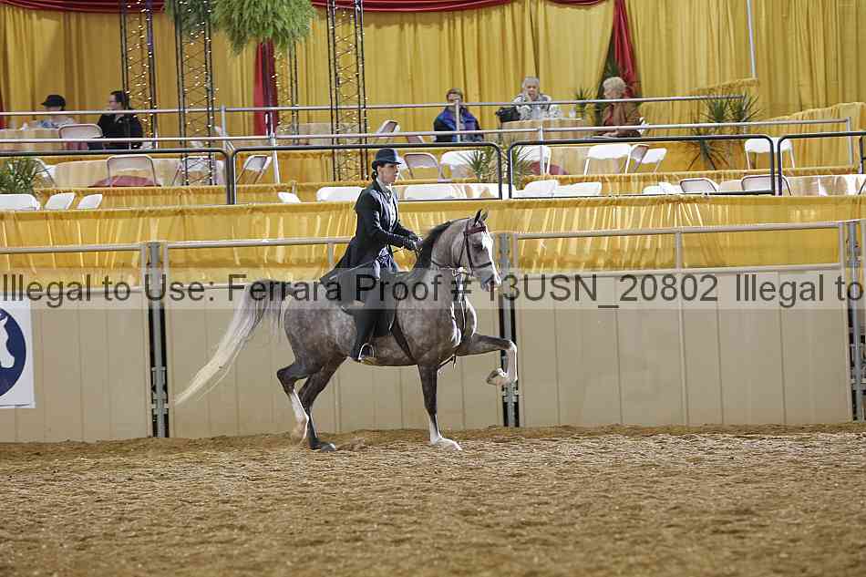 Proof 13usn_20802