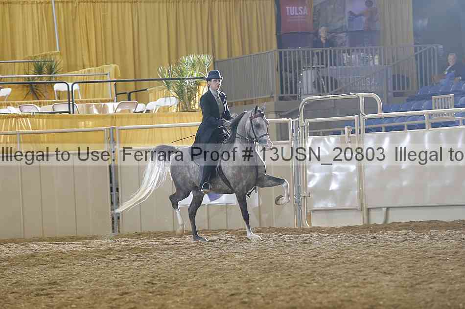 Proof 13usn_20803
