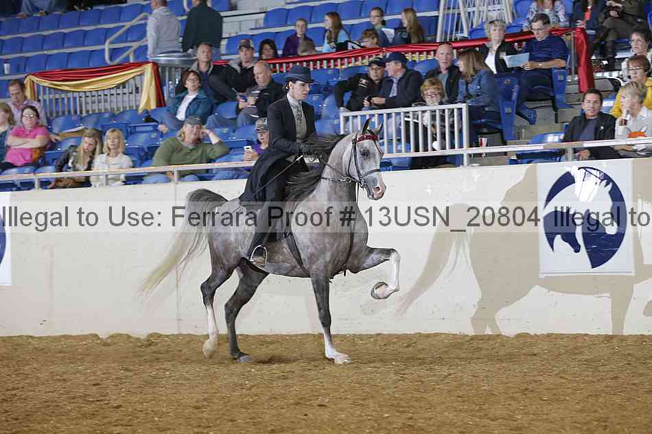 Proof 13usn_20804
