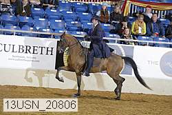 13usn_20806 proof