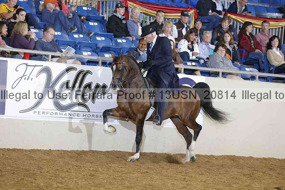 Proof 13usn_20814