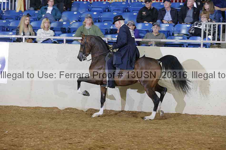 Proof 13usn_20816