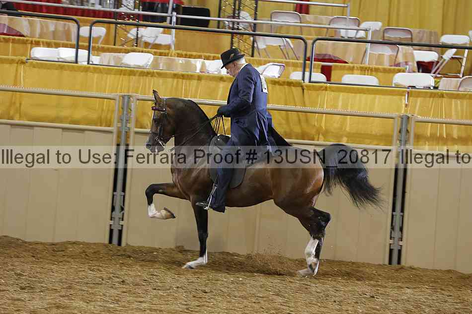 Proof 13usn_20817