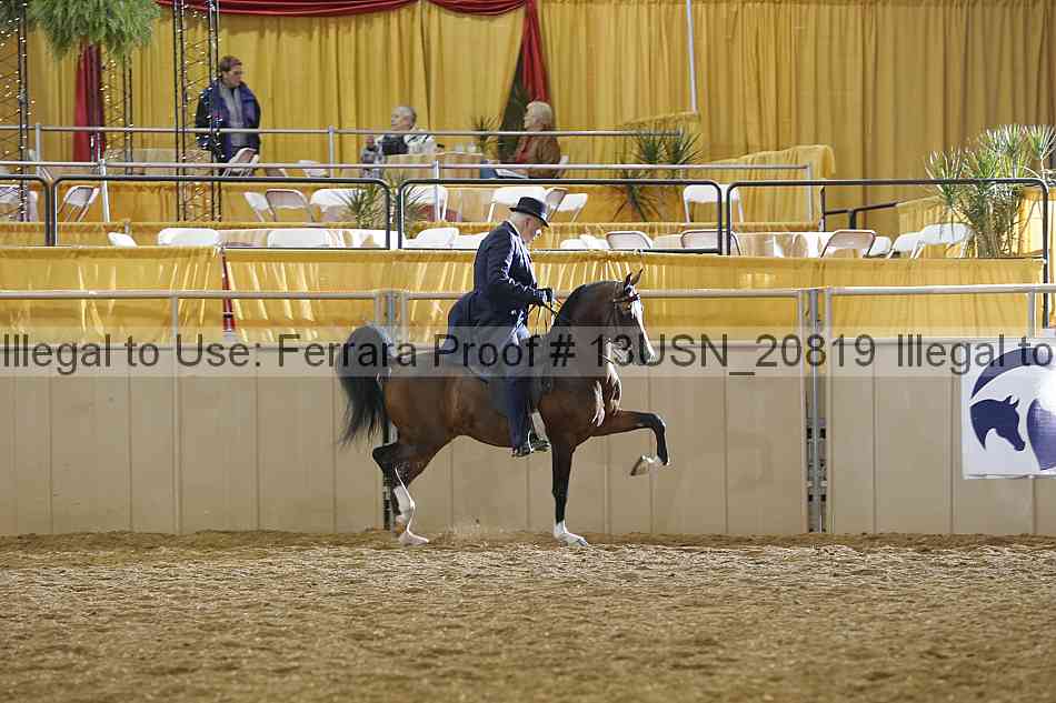 Proof 13usn_20819