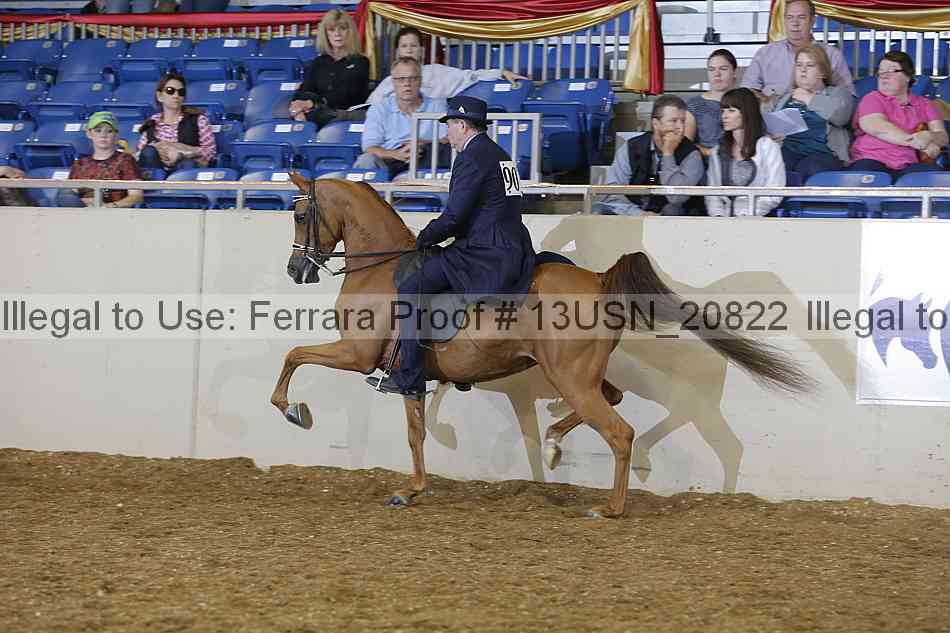 Proof 13usn_20822