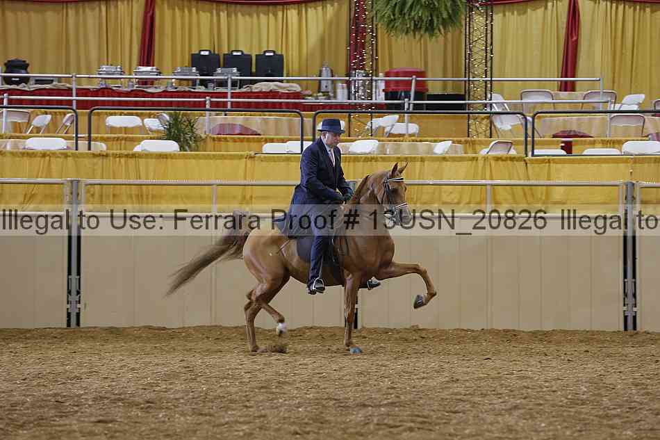 Proof 13usn_20826