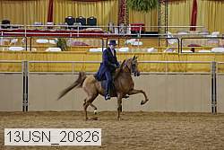 13usn_20826 proof