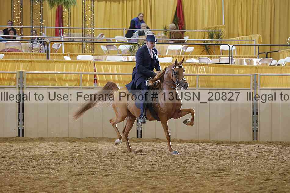 Proof 13usn_20827