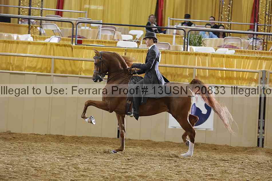 Proof 13usn_20833