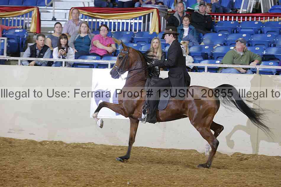 Proof 13usn_20855