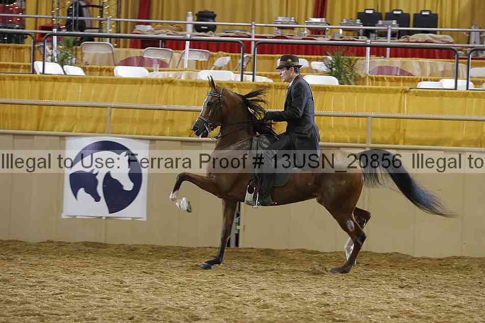 Proof 13usn_20856