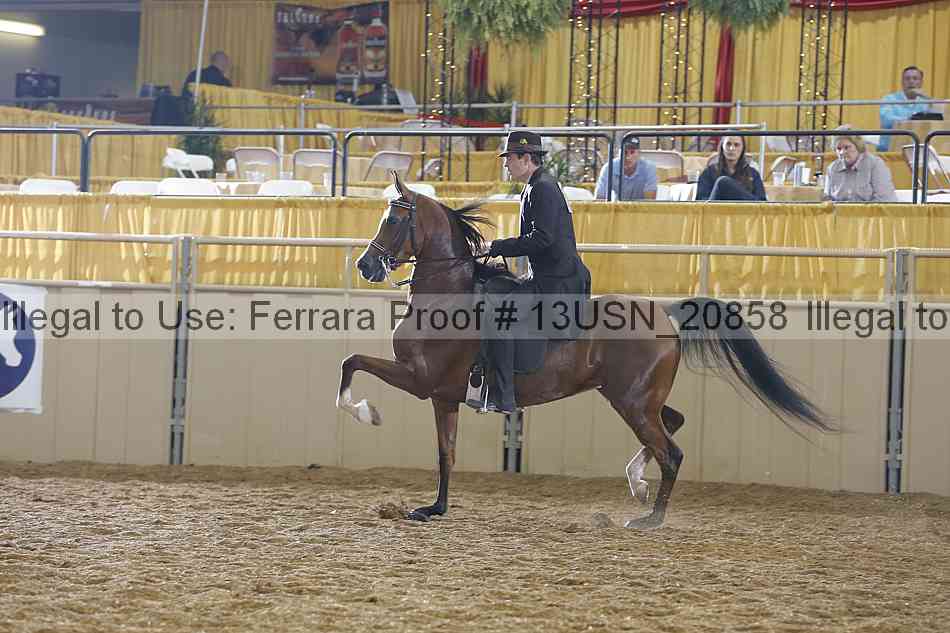 Proof 13usn_20858