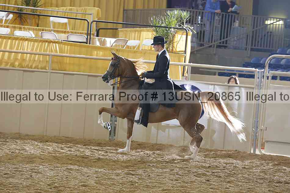 Proof 13usn_20865
