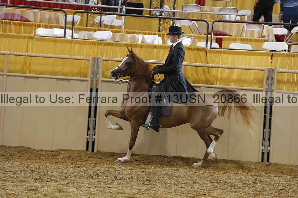 Proof 13usn_20866