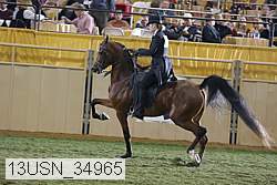 13usn_34965 proof
