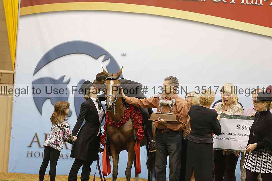 Proof 13usn_35174