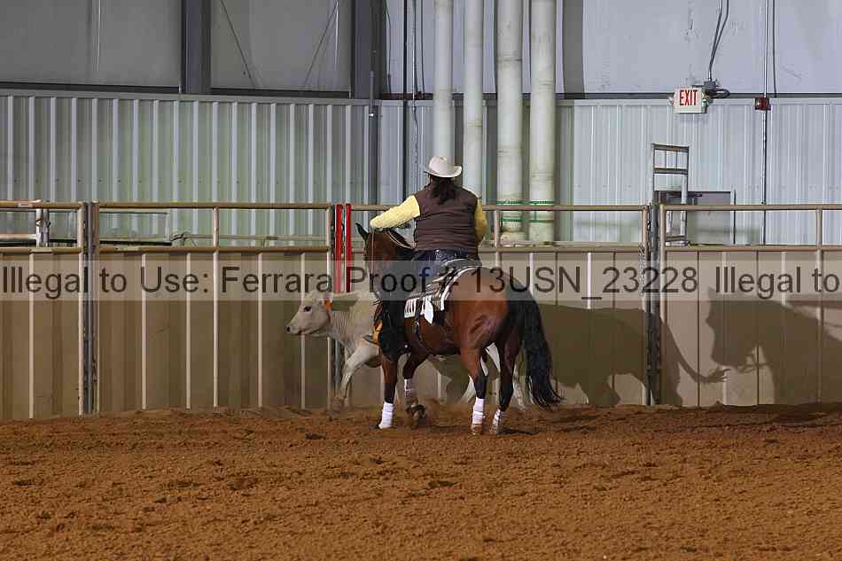 Proof 13usn_23228