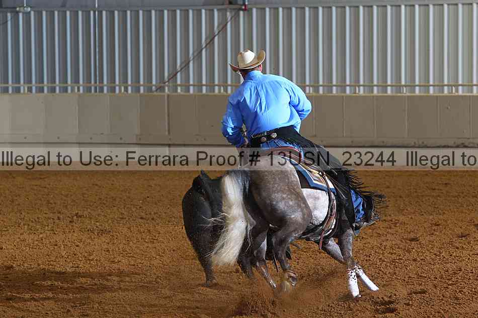 Proof 13usn_23244