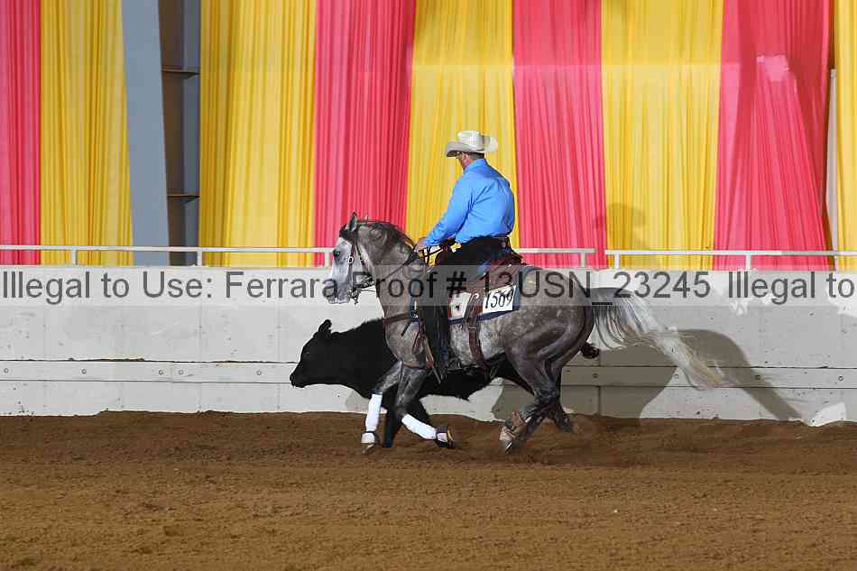 Proof 13usn_23245