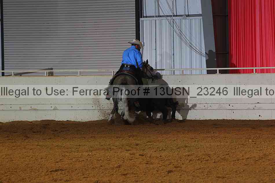 Proof 13usn_23246