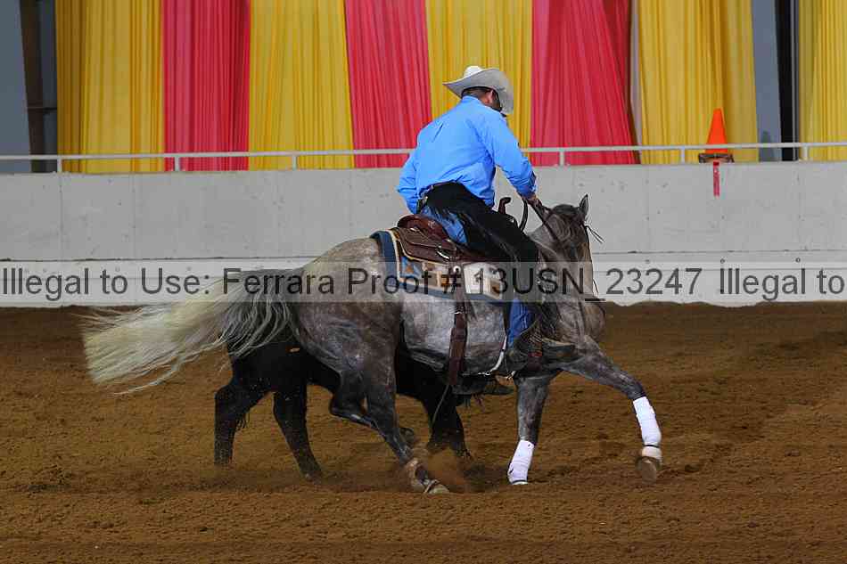 Proof 13usn_23247