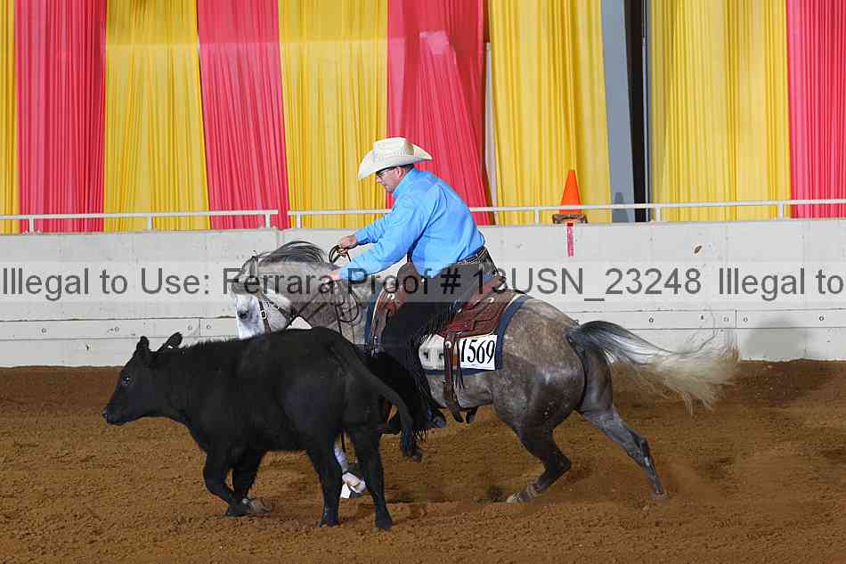 Proof 13usn_23248