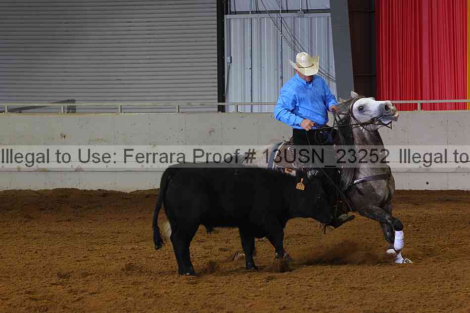 Proof 13usn_23252