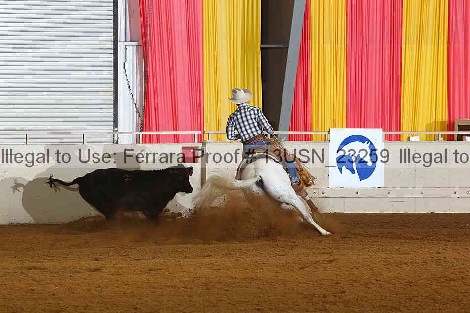 Proof 13usn_23259