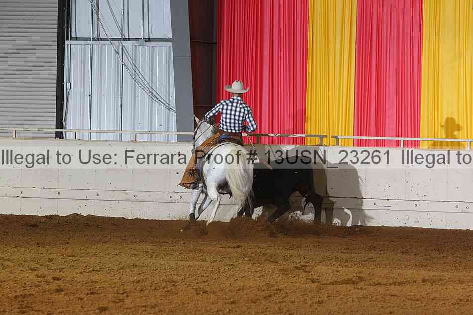 Proof 13usn_23261