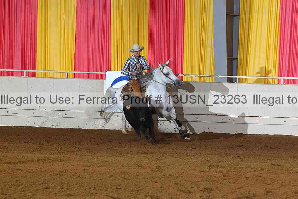 Proof 13usn_23263