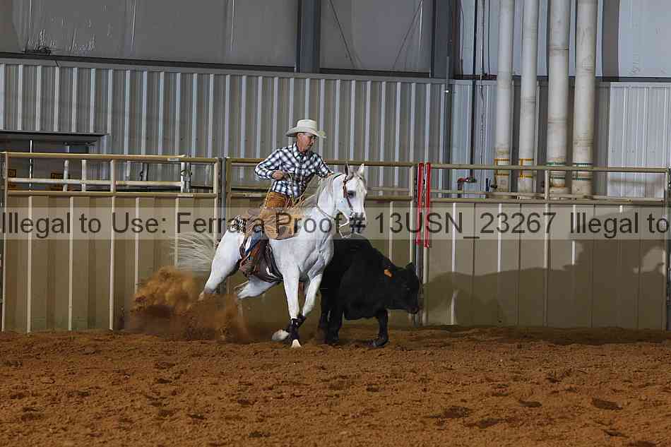 Proof 13usn_23267