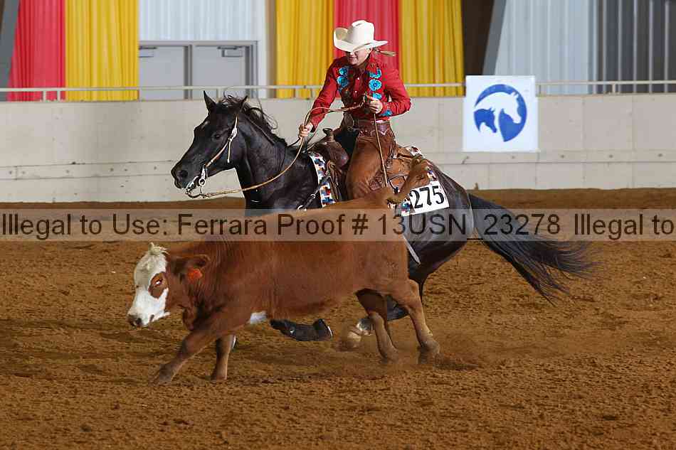 Proof 13usn_23278
