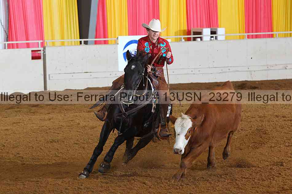 Proof 13usn_23279