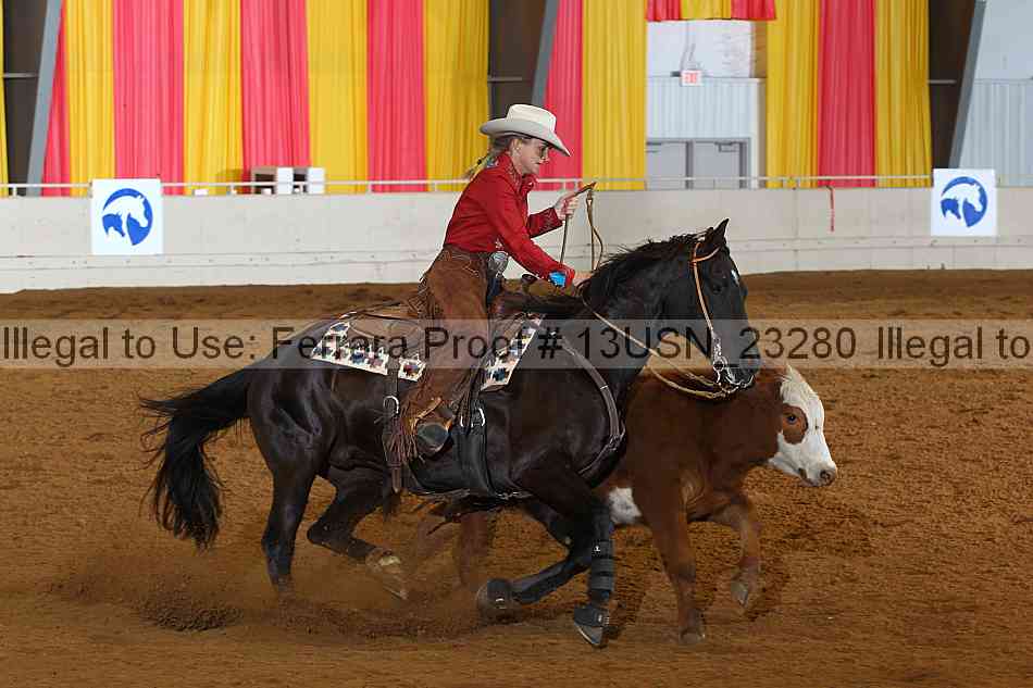 Proof 13usn_23280