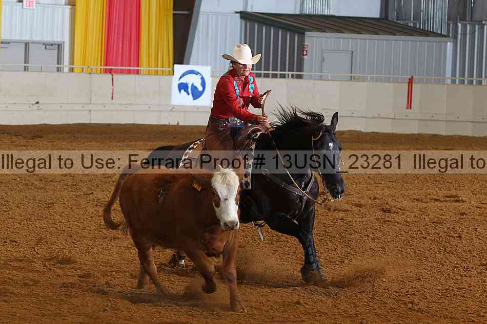 Proof 13usn_23281