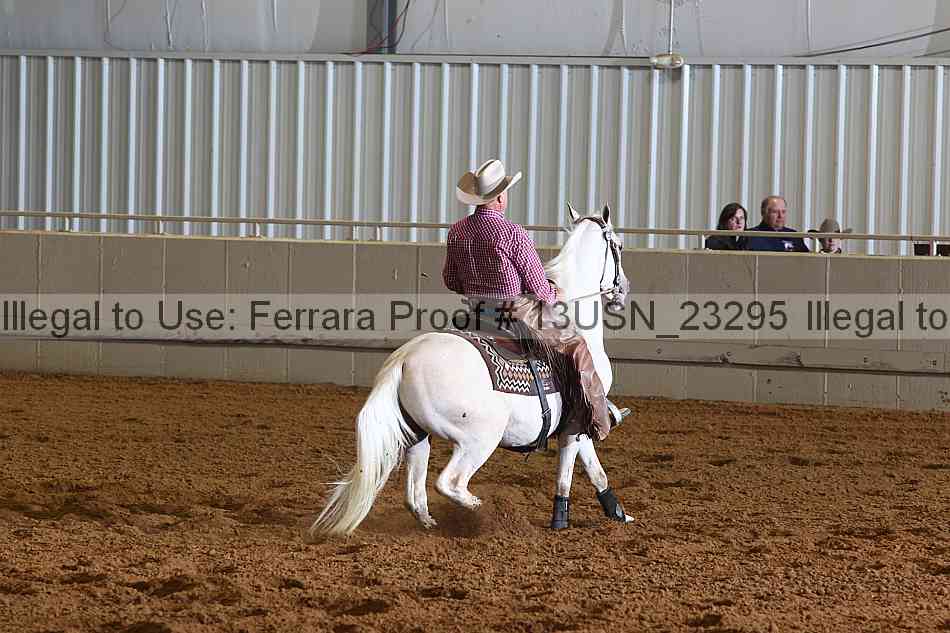Proof 13usn_23295