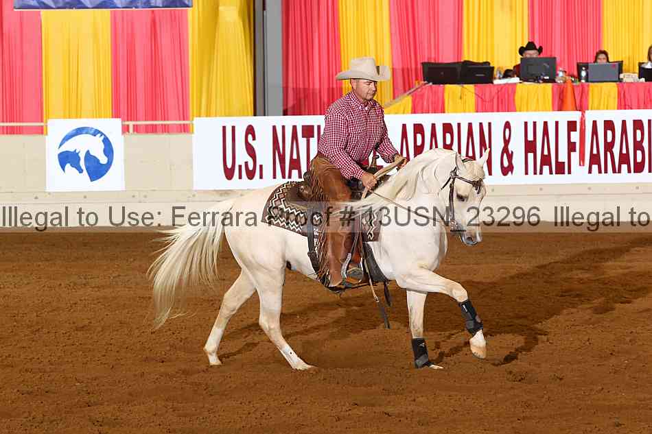 Proof 13usn_23296