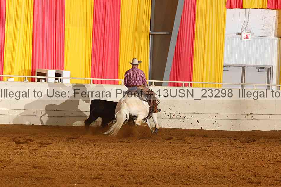 Proof 13usn_23298