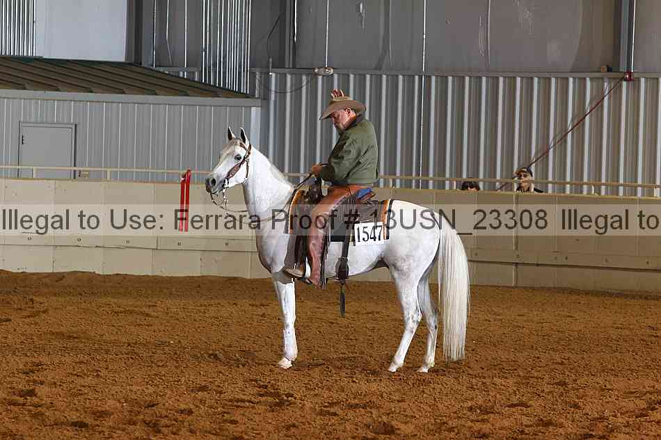 Proof 13usn_23308