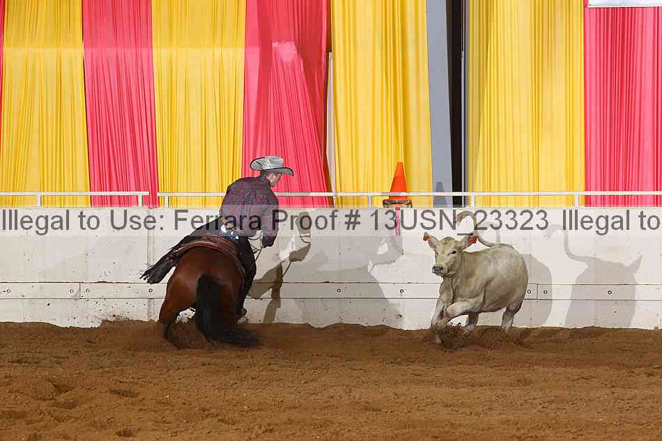 Proof 13usn_23323