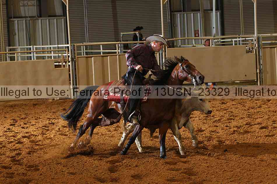 Proof 13usn_23329