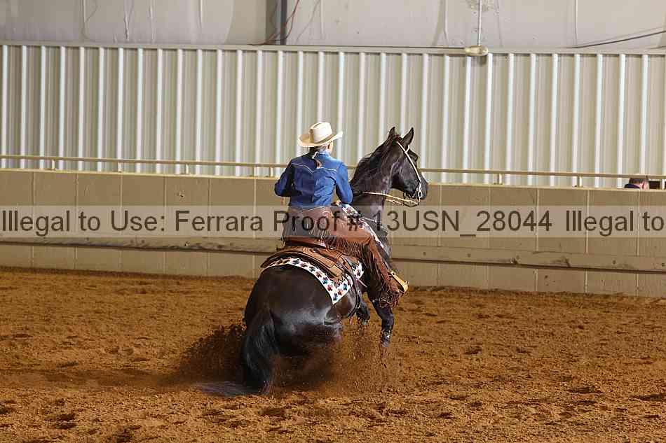 Proof 13usn_28044