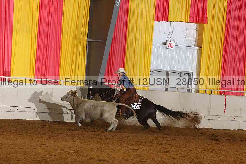Proof 13usn_28050