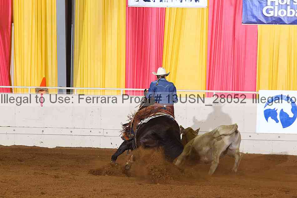 Proof 13usn_28052
