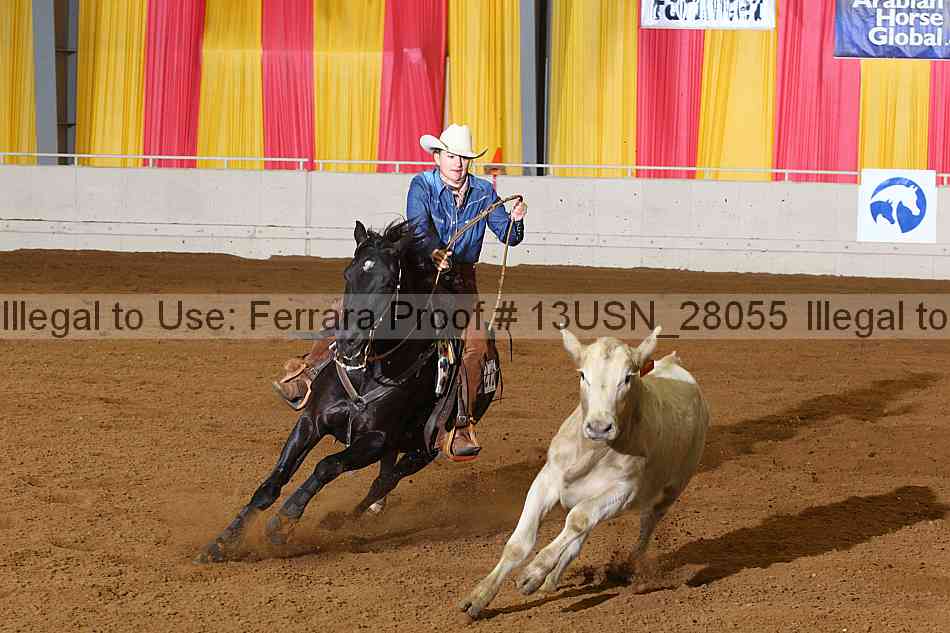Proof 13usn_28055