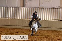 13usn_28062 proof