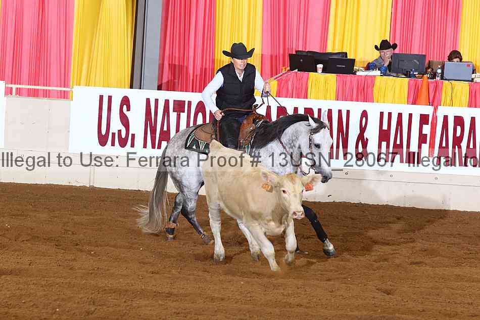 Proof 13usn_28067